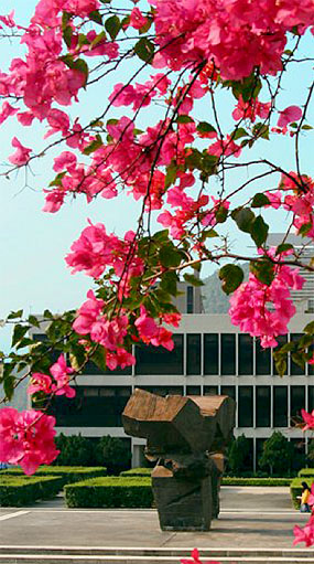 Chinese University of Hong Kong